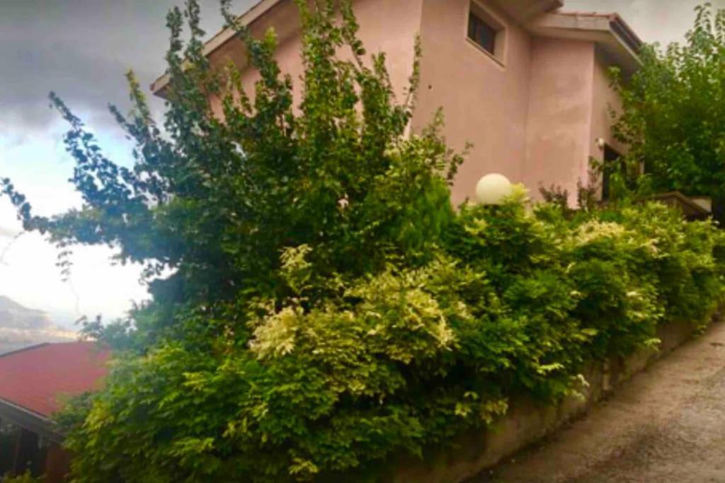 Il Panorama Lägenhet Altofonte Exteriör bild